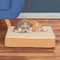Pet Adobe Orthopedic Sherpa Top Pet Bed with Memory Foam and Removable Cover 20x15x4 Tan by Pet Adobe 907354ZQF - alternate 7